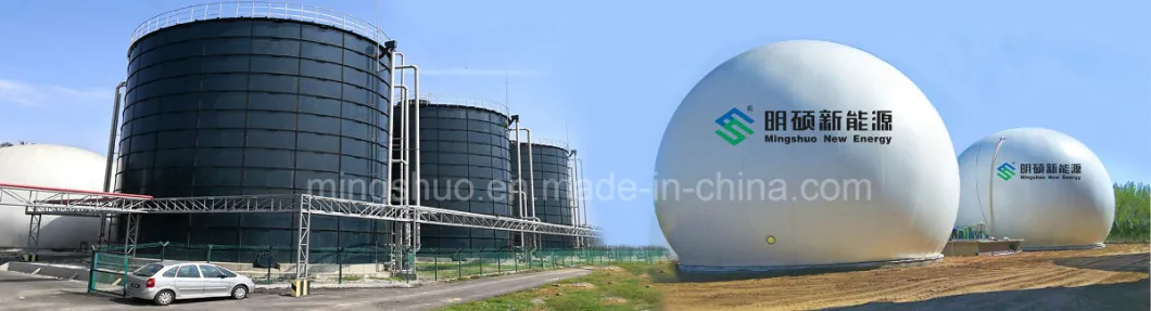 Biogas Plant Ad Fermenter for Starch Mill Waste