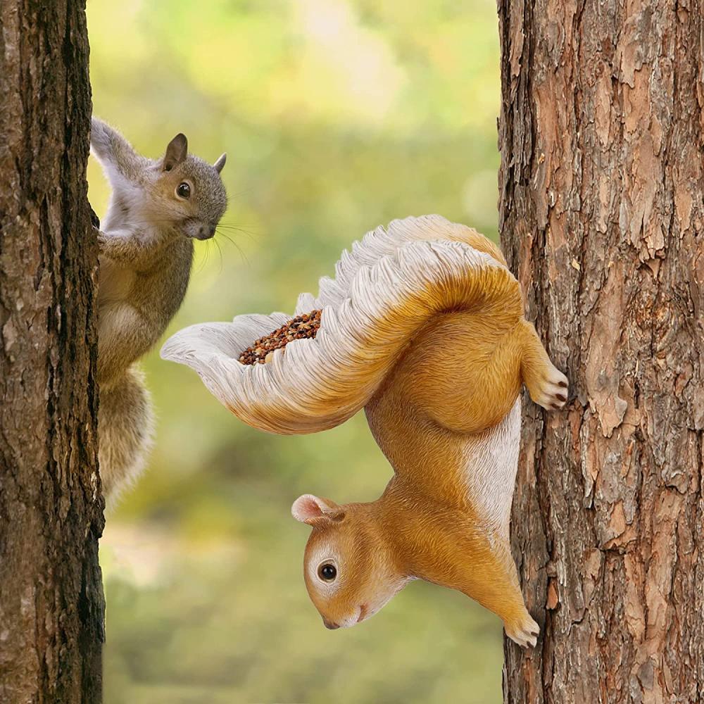 Squirrel Bird Feeder Tree Decor Outdoor