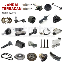 Wholesale Factory Auto Parts for Hyundai Terracan Engines
