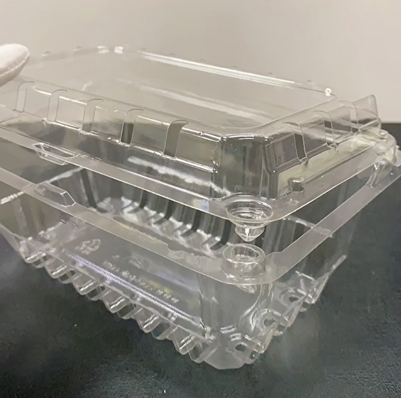 Disposable Plastic Clamshell Box