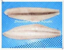 frozen mahi mahi fillet