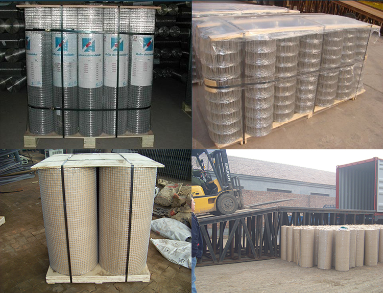 welded wire mesh