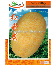 85 days Hybrid F1 hami melon seeds For planting-Hong Jin Long