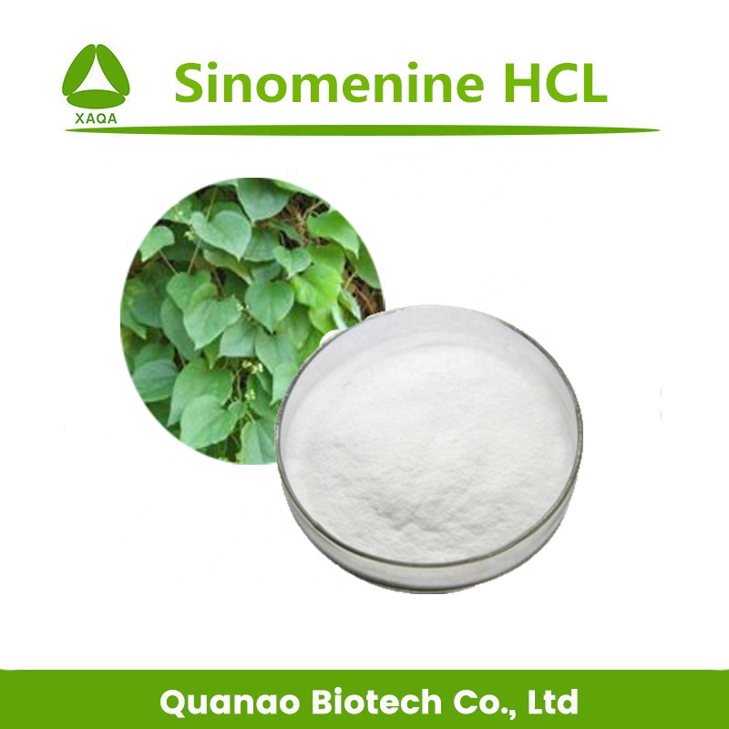Hidrocloreto de Sinomenium Acutum Extrato de Sinomenina / HCI 98%