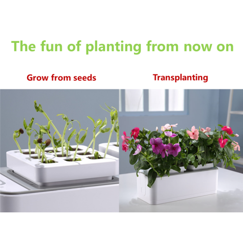 Indoor Smart Mini Garden Hydroponic Flower