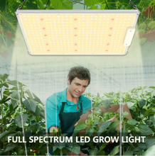 Veg Flower Growing Lamps Quantum LED Grow Light