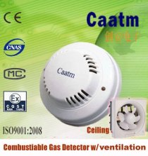 Gas detector