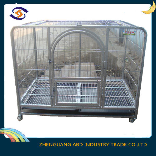 china pet display cage/iron pet cage