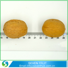 Superior Grade Raw Unshelled Walnuts In The Shell Size 34 mm