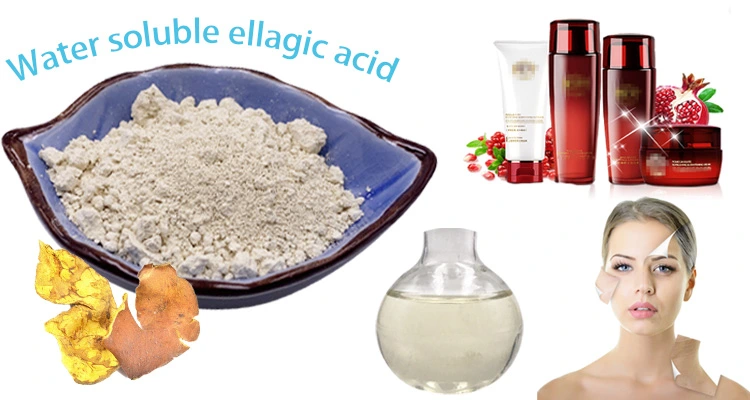 Skin Whitening Ingredient Pomegranate Peel Extract Powder Water Soluble 40% Ellagic Acid