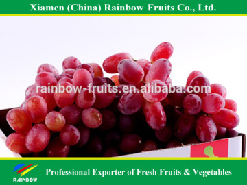 fresh fruits and vegetables from China