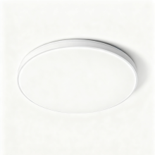 Modern Energy Efficient LED Ceiling Light