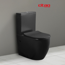 Matt Black Washdown Back to Wall Two Piece Toilet Bowl