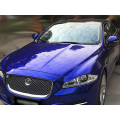 metallic gloss blueberry car vinyl