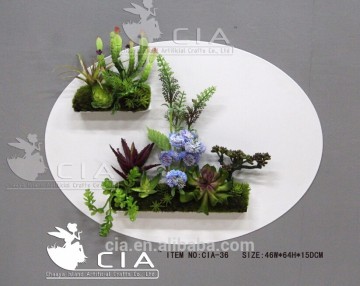 Vertical Garden Succulent Plants Wall Design