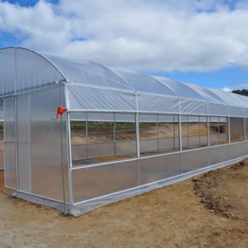 Single greenhouse polycarbonatevegetable tunnel greenhouse