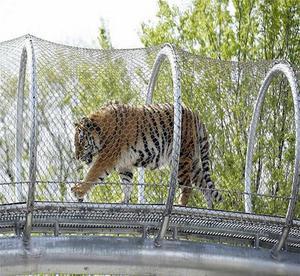 Stainless Steel Cable mesh Zoo Animals