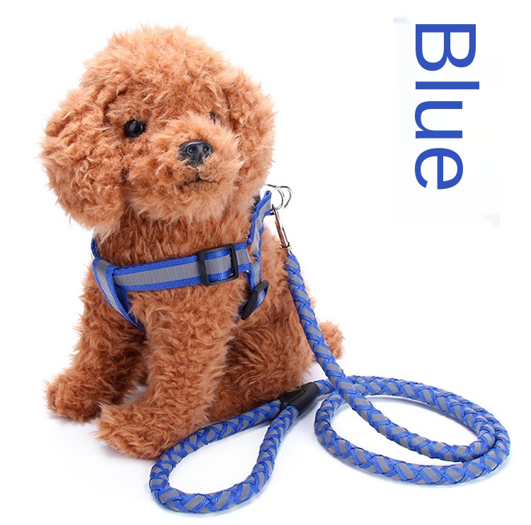 Pet supplies wholesale special traction pull leash dog treadmill morning run special traction rope factory direct supply