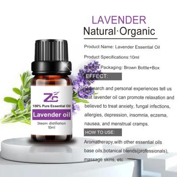 Pure And Natural Skincare Massage Lavender Oil Bulk
