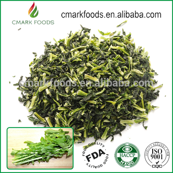 Air Dried Spinach leaf Dehydrated Coriander Leaves