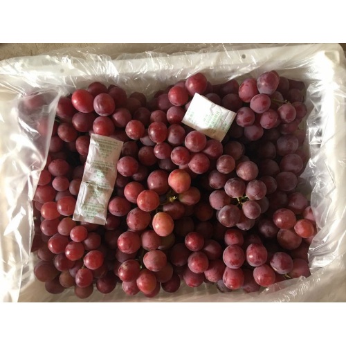 Export Quality Quality ya Fresh Grape Red