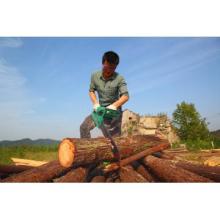 55.0cc chainsaw CY-6020 gardon tool