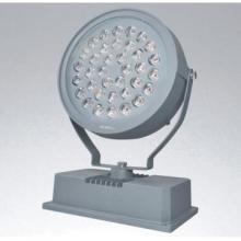 36W LED Orbicular Flood Light