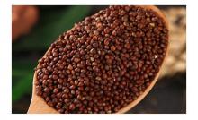 High Quality Perilla Seeds