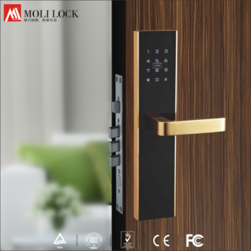 Advanced Digital Lock, Digital Password Lock, Residential Main Door Password Lock