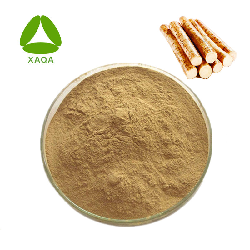 Klettenwurzelextrakt Burdock Root Extract