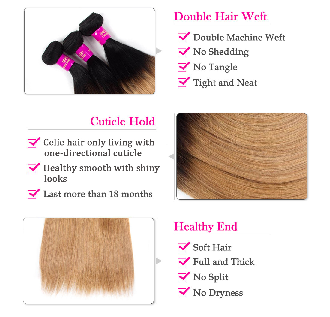 CELIE Cuticle Aligned 1B/27 Ombre Hair Extensions Wholesale Virgin Hair Vendors Good Quality Ombre Braiding Hair