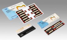 teeth and dental models
