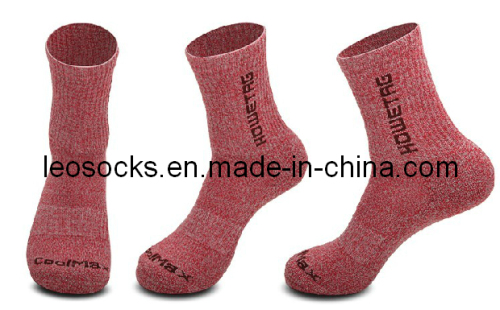 2014 Hot Selling Woman Coolmax Outdoor Socks (DL-WS-96)