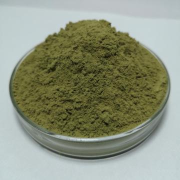 organic freeze dried kale powder