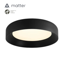 Jink Matter Smart Home Ceiling Lights: An Intelligent Lighting Solution