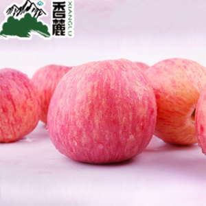 Real organic red Fuji apple