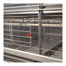 High Quality Poultry Farming Equipment: Layer Cages and Quail Cages for Sale