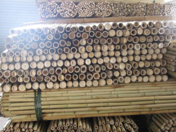 Natural Tonkin bamboo fence