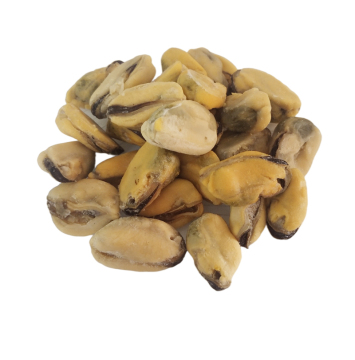 fresh frozen green shell mussels