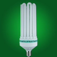 8U Compact fluorescent light bulbs