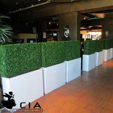 Factory Direct Interior Decoration Boxwood Home Decor