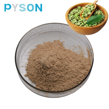 Loss Weight Green Coffee Bean Extract Powder