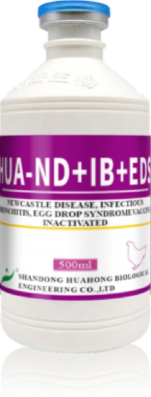 HUA-ND+IB+EDS HUA-ND+IB+EDS