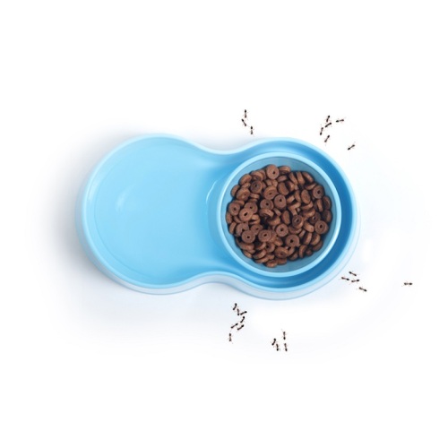 Anti-Ant Plastic Pet Bowl - Blue