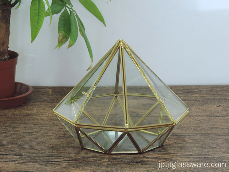 特別な家の庭の装飾幾何学的なテラリウムガラス