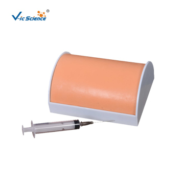 Multi-Functional Intramuscular Injection Training Pad