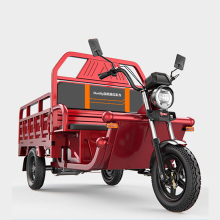 Load King Household Freight Freestyle Electric Tricycle Manufacturers in China