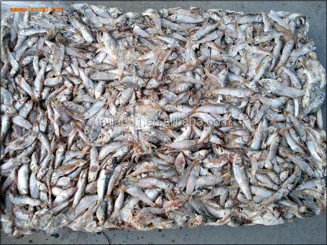 2020 Good Quality New Fish meal