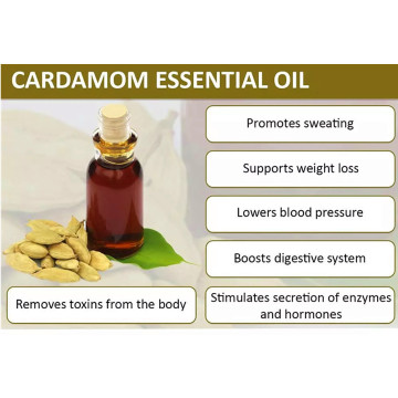 Olio da massaggio per il corpo Olio di cardamomo di grado terapeutico puro