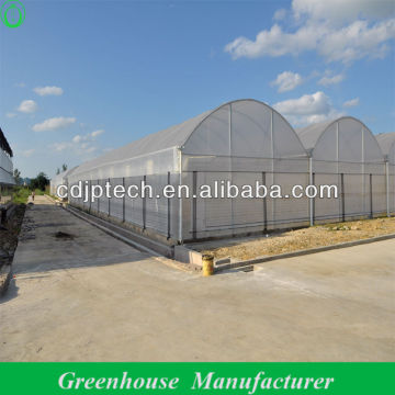 Plastic Cover Design Greenhouse